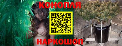 ГАЛЛЮЦИНОГЕННЫЕ ГРИБЫ Заводоуковск