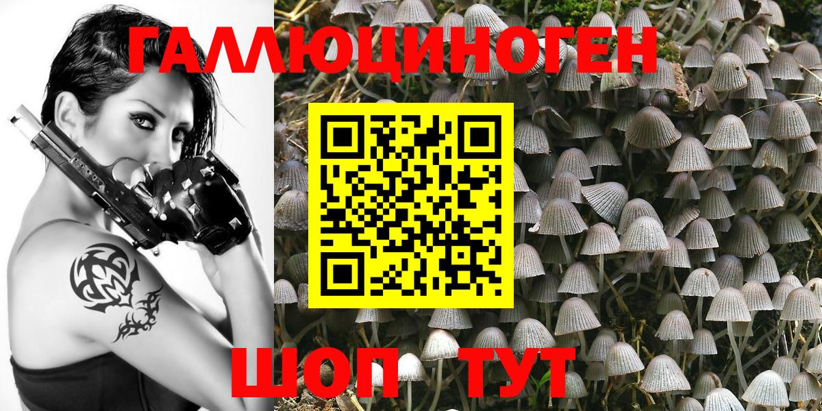 Ижевск  Галлюциногенные грибы Magic Shrooms  продажа наркотиков  Вход с VPN  Псилоцибиновые грибы мухоморы 