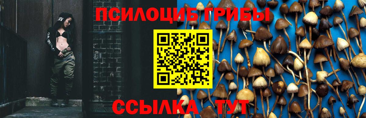 Галлюциногенные грибы мухоморы Ижевск
